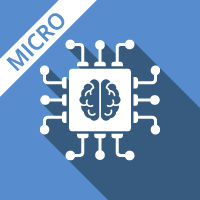 The AI development Process course