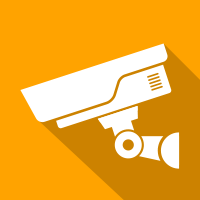 Working Within the Private Security Industry course